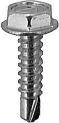 HEX WASHER HD TEKS SCREW, #10 X